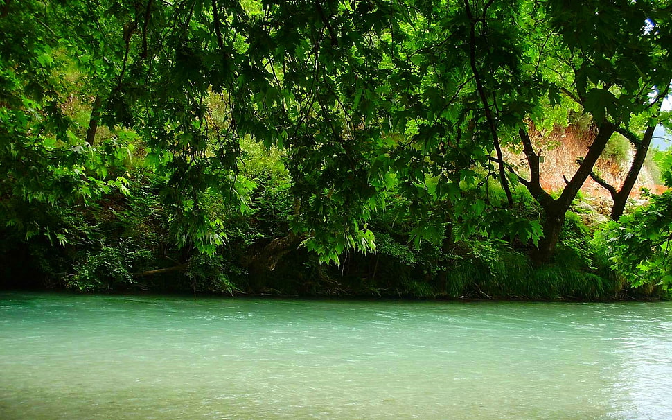 calm river, nature, landscape, river, Greece HD wallpaper