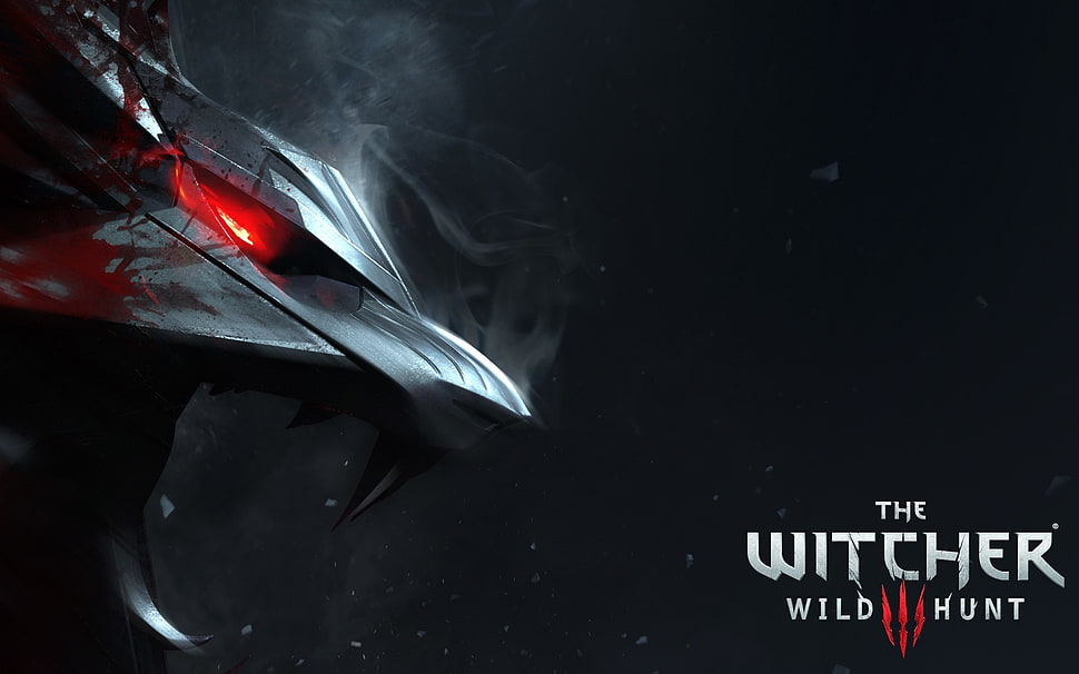 The Witcher 3 Wildhunt wallpaper, The Witcher 3: Wild Hunt, video games HD wallpaper