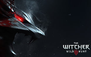 The Witcher 3 Wildhunt wallpaper, The Witcher 3: Wild Hunt, video games HD wallpaper