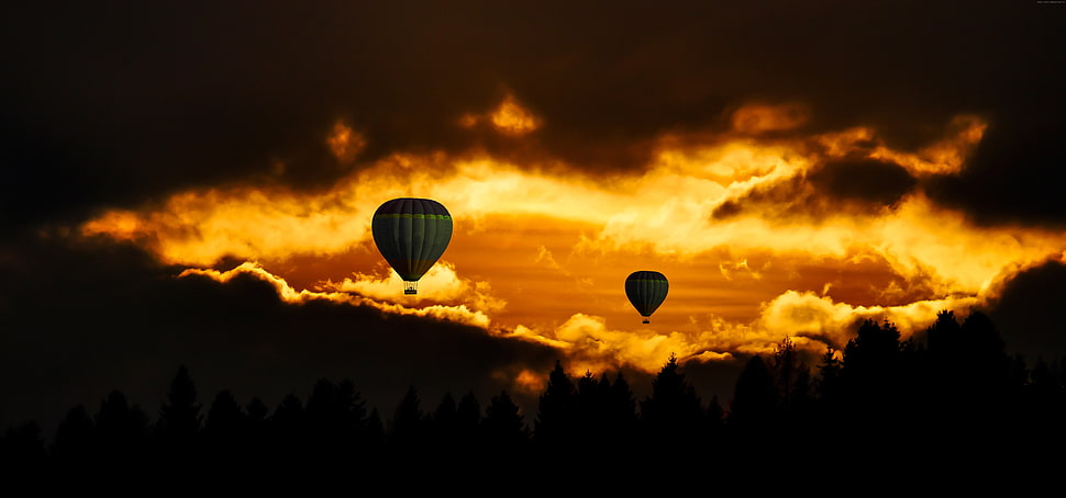 two silhouette of hot air balloons near clouds photo taken during golden hour HD wallpaper