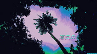 coconut tree illustration, neon HD wallpaper