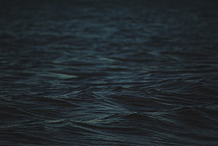 Sea,  Waves,  Surface