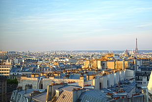 aerial photo of urban city HD wallpaper