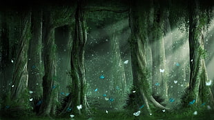 tree trunks illustration, forest, butterfly HD wallpaper