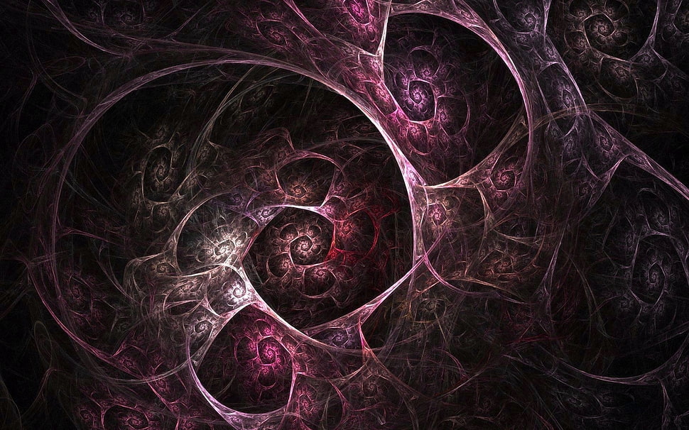 maroon digital wallpaper HD wallpaper