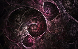 maroon digital wallpaper