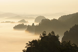 silhouette of rock formations surrounded by fog during daytime HD wallpaper