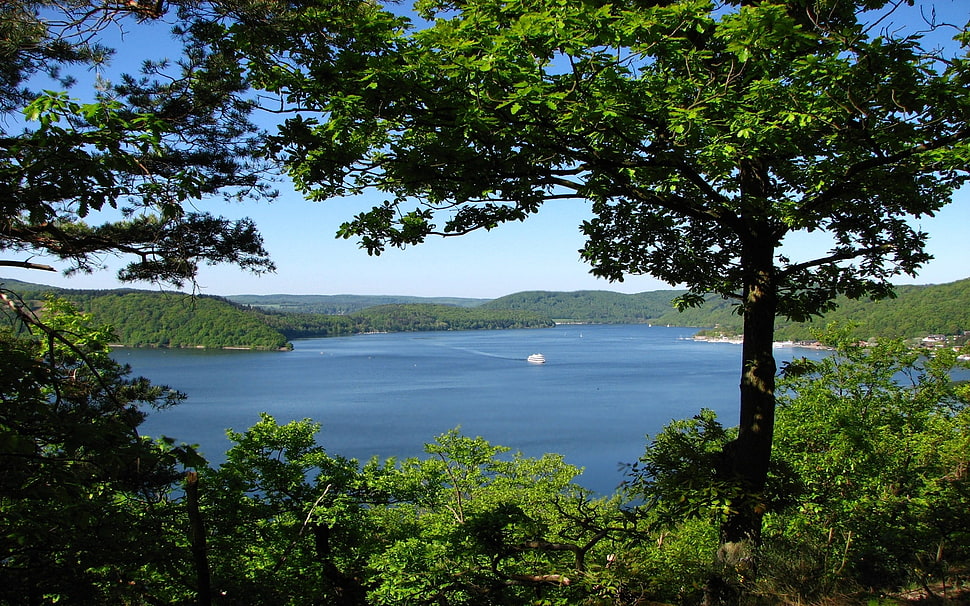 lake near gree trees during daytime HD wallpaper