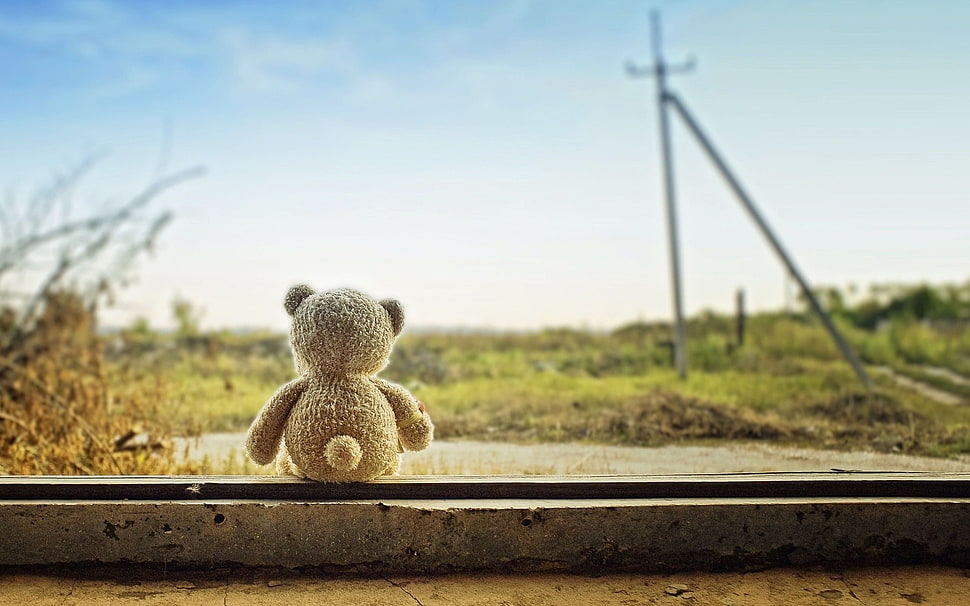 brown bear plush toy, teddy bears HD wallpaper