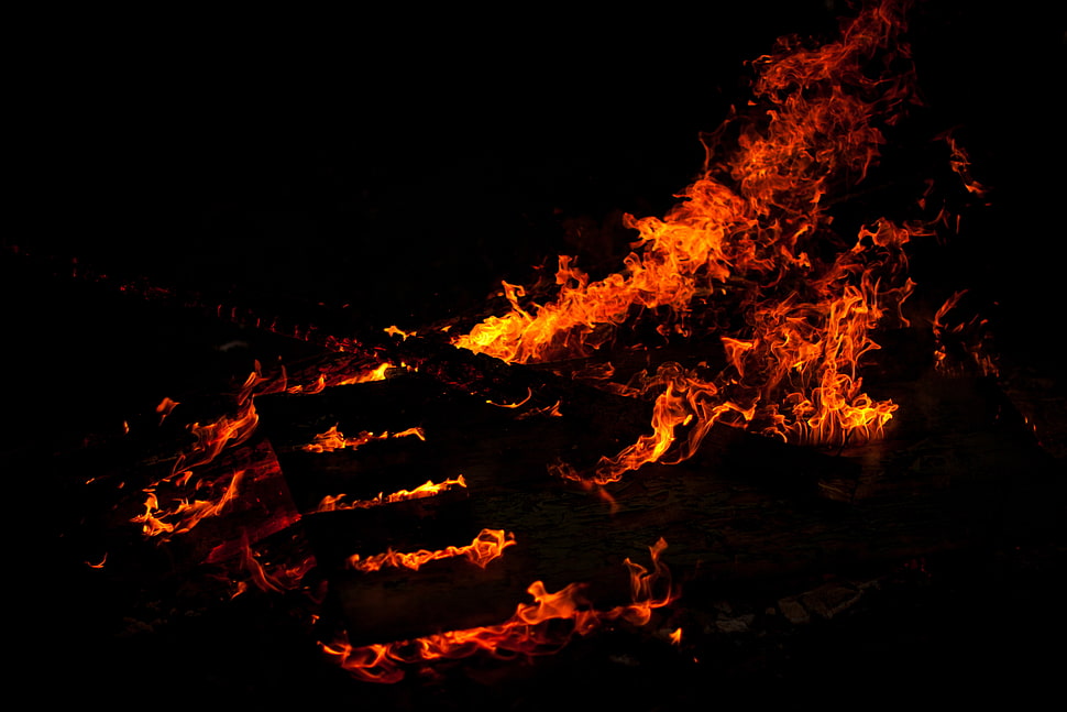 macro shot of red fire HD wallpaper