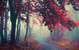 red trees near brown bushed painting