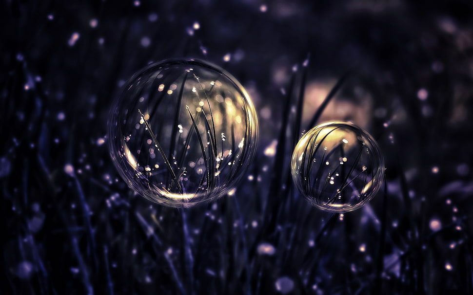 selective focus photography of water HD wallpaper