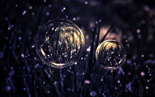 selective focus photography of water HD wallpaper