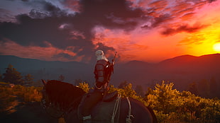 man riding on horse illustration, The Witcher, The Witcher 3: Wild Hunt, video games HD wallpaper