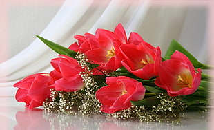 red flower bouquet HD wallpaper