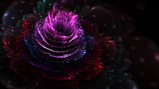 pink, purple, and red splash digital wallpaper, CGI, flowers, fractal, fractal flowers