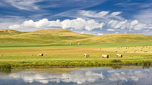 landscape photography of green grass mountain with hay during day time