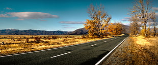 landscape photo of gray concrete road HD wallpaper