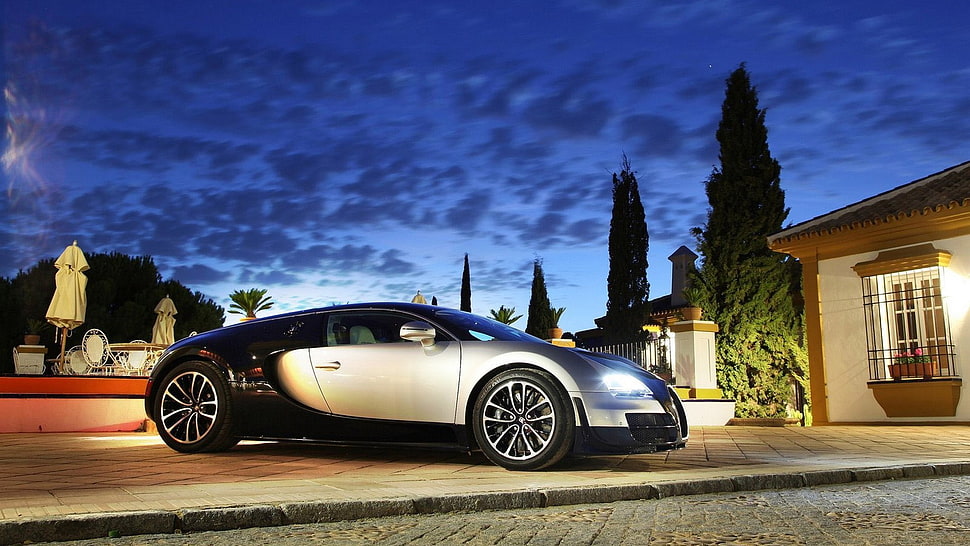 gray and black coupe, Bugatti Veyron, Bugatti, car, vehicle HD wallpaper