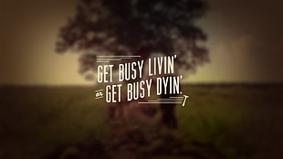get busy livin get busy dyin text, quote, The Shawshank Redemption