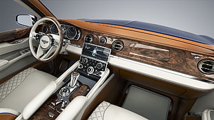 brown and white car steering wheel, Bentley XP9, car