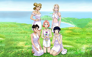 Naruto girls poster