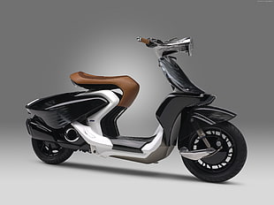 black, white, gray, and brown motor scooter
