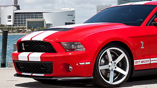 red Ford Shelby, car, gt 500