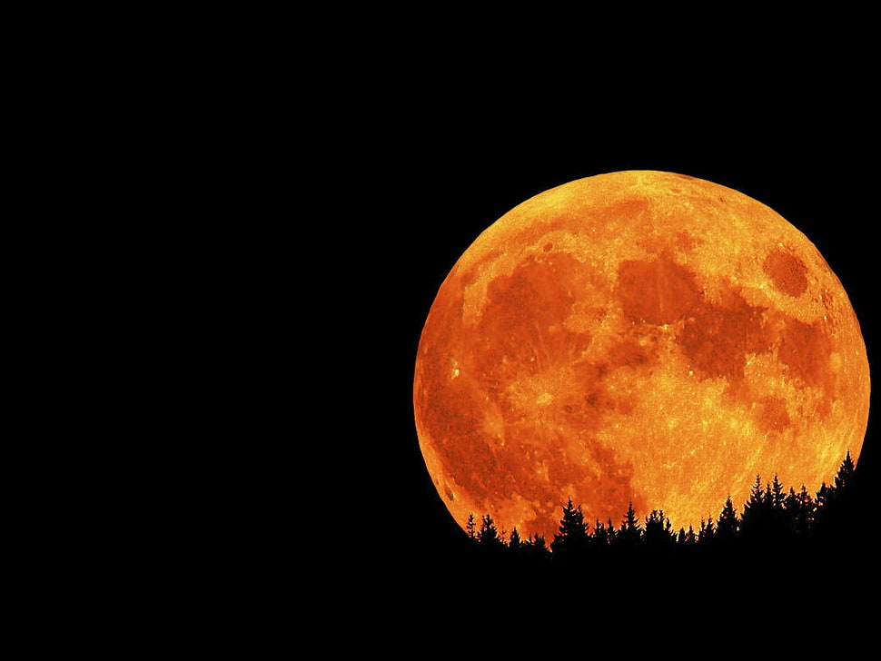 full moon wallpaper, Moon, black, space, night HD wallpaper