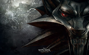 The Witcher wallpaper, The Witcher, video games