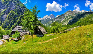 Slovenia,  Mountains,  Grass,  Summer HD wallpaper