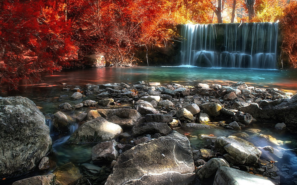 waterfalls and forests HD wallpaper
