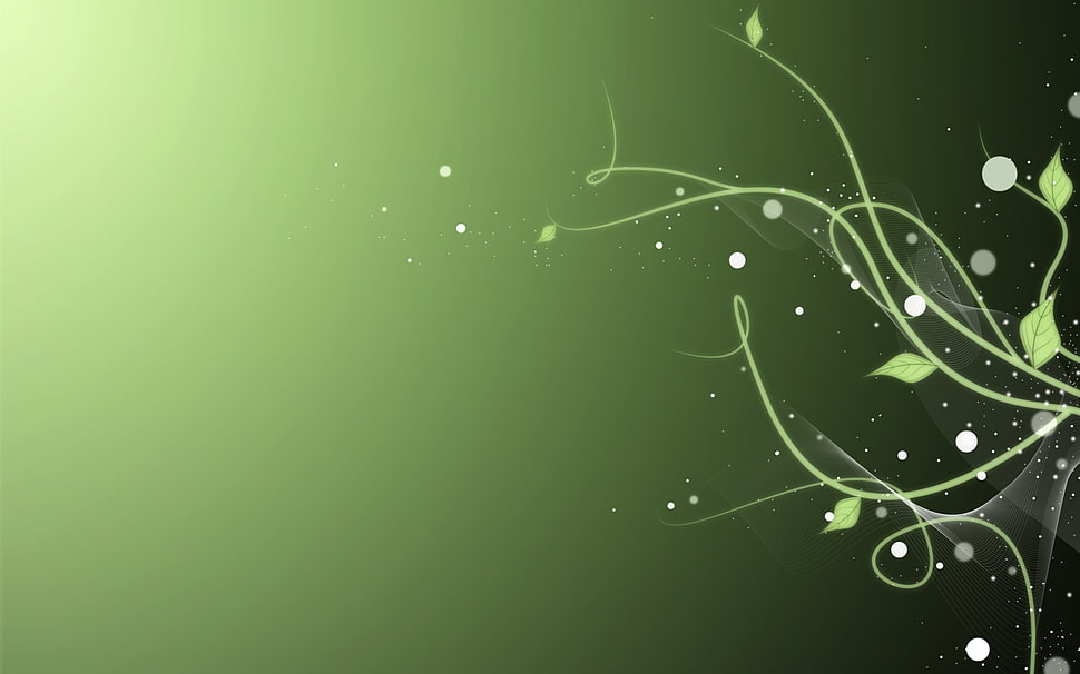 green leaf plant digital wallpaper HD wallpaper