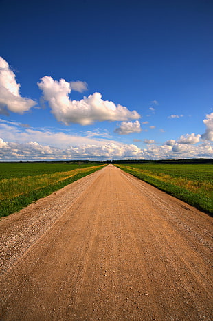 brown road in the middle of green grass field under white and blue skies HD wallpaper