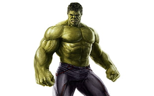 Marvel Incredible Hulk HD wallpaper