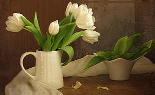 white and green flowers table decor HD wallpaper