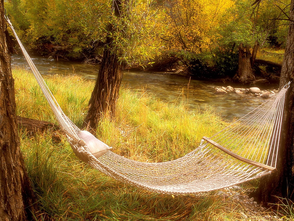 brown hammock HD wallpaper