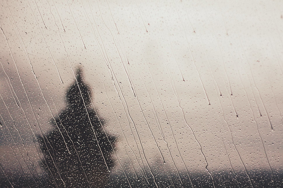 black tree illustration HD wallpaper