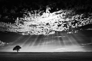 black and white photo of sky HD wallpaper