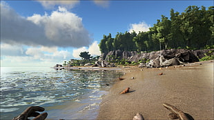 Farcry gameplay, video games, ark