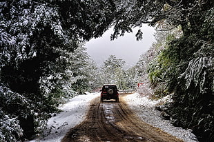 black SUV, nature, landscape, photography, winter