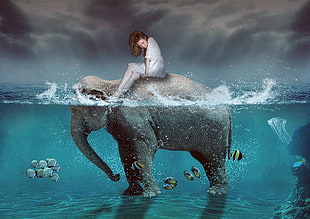 woman on elephant digital wallpaper HD wallpaper