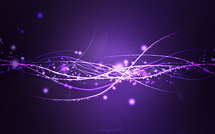 selective photography of purple lights