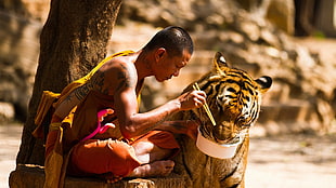 man feeding tiger, monks, animals, eating, tiger