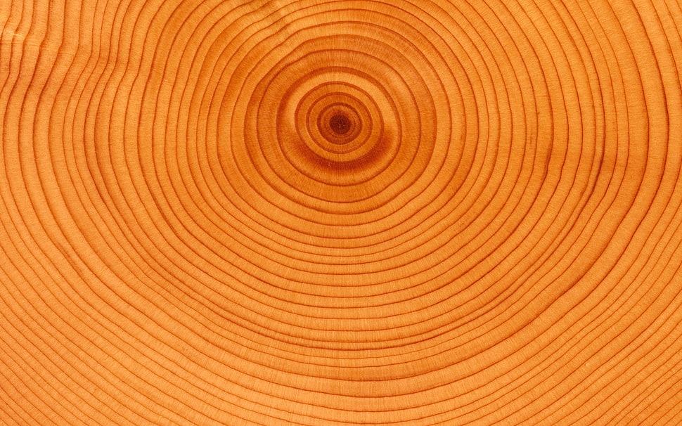 brown textile HD wallpaper