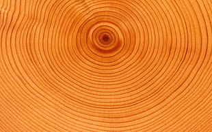 brown textile