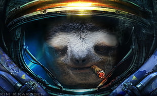 sloth astronaut illustration, Starcraft II, sloths, cigars, humor HD wallpaper