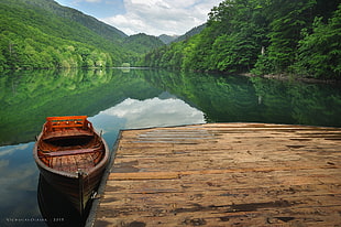 brown wooden rowboat, nature