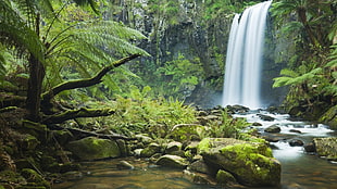 waterfalls, waterfall, nature, stones