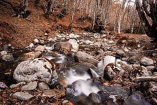 time lapse photography of stream surrounded by trees during day time